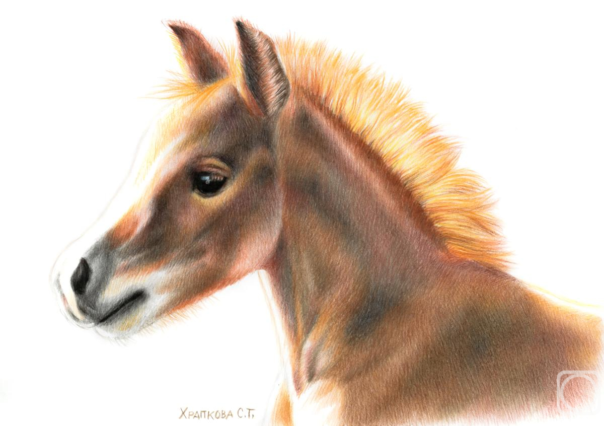 �������. �������� ��������. ���������