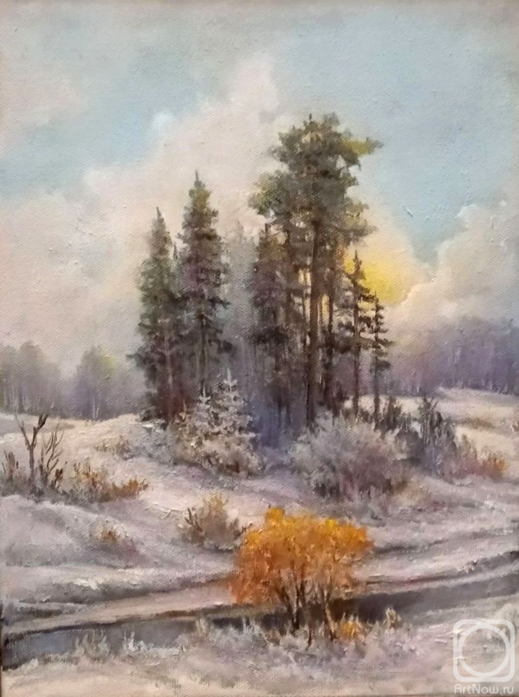Plesovskikh Elena. Winter Land