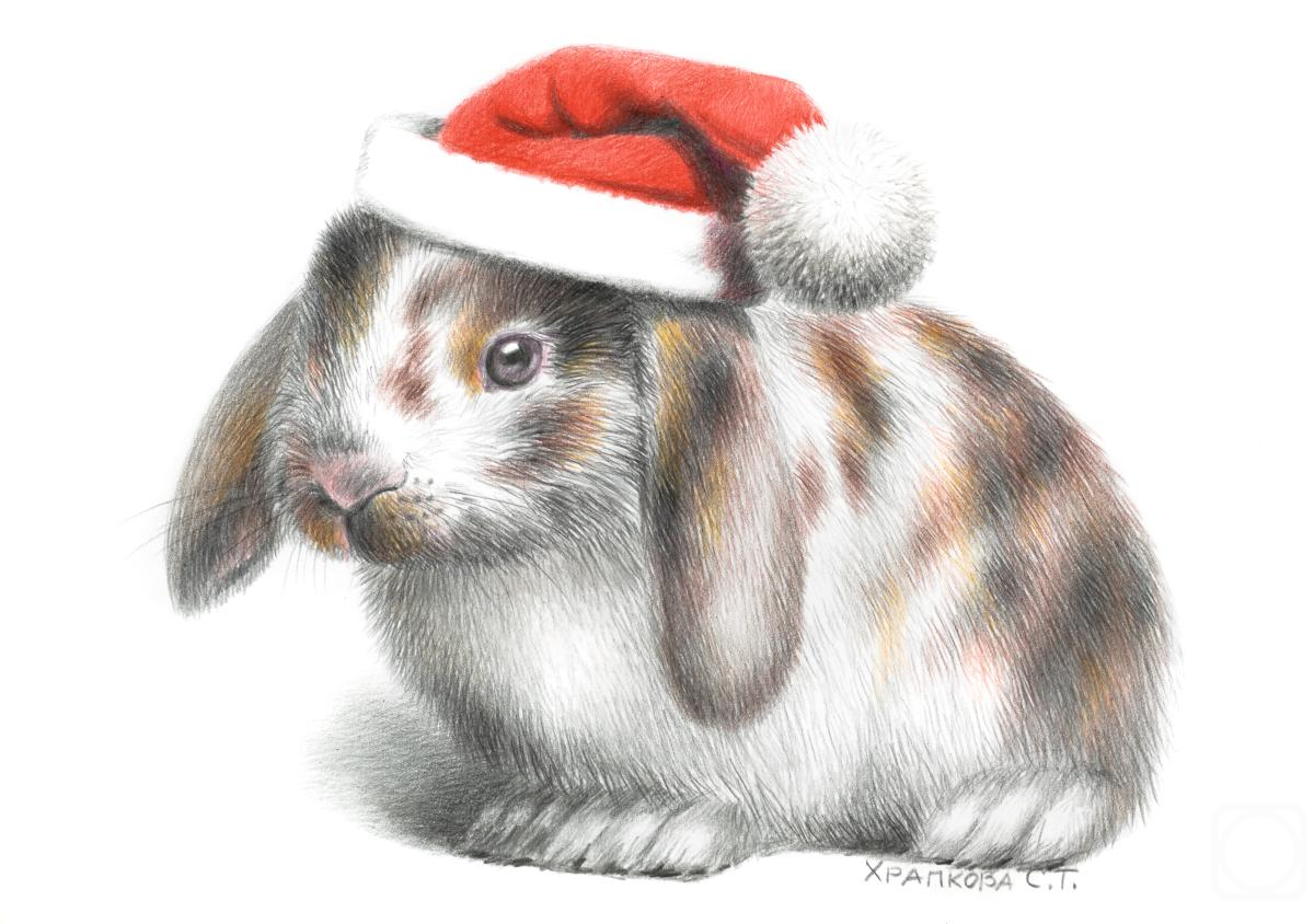 �������. �������� ��������. ���������� ������