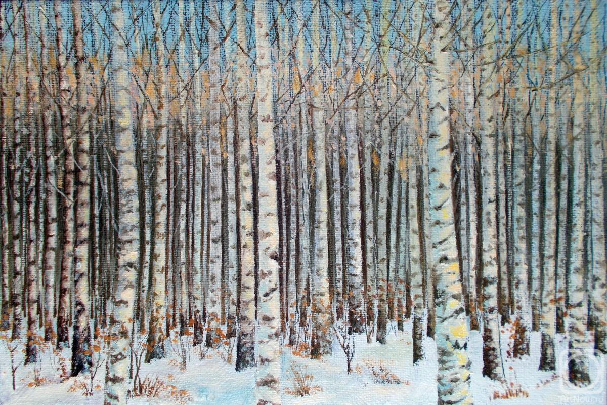 Abaimov Vladimir. Birch Grove in Winter