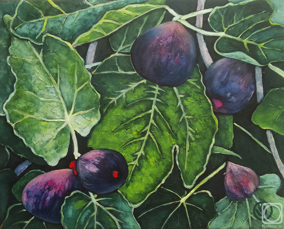 Shah Oxana. Fig fruits