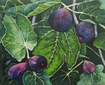 Fig fruits. Shah Oxana