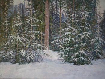 Snow Kingdom. Sapozhnikov Yura