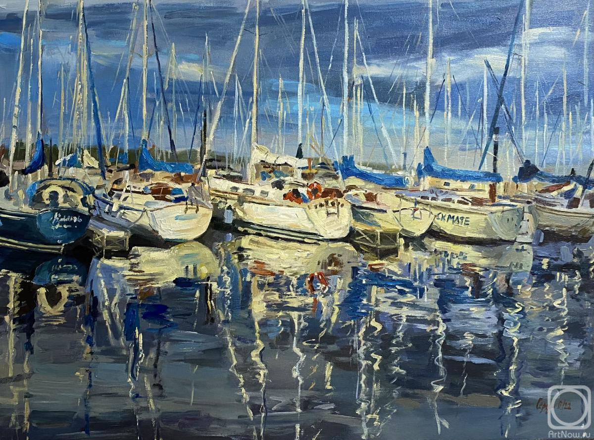 Sereda Polina. Yachts