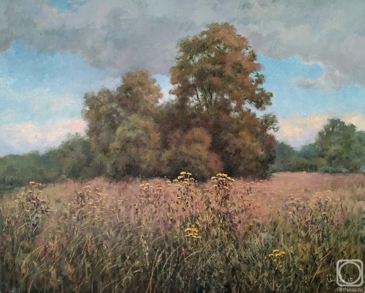 ������� ������ �� ������. �������� ���������. ������ �����