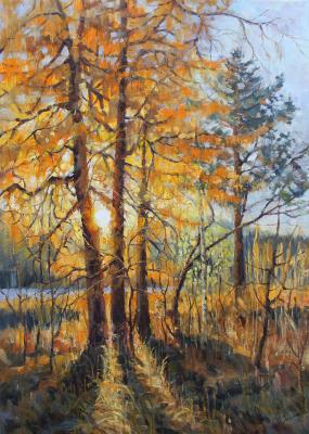 Autumn Trio (Forest Landscapes). Tyutina-Zaykova Ekaterina