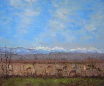 ������� ��� ��������� ����