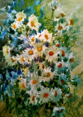 Daisies (Watercolor On Wet). Aleksandrov Aleksandr