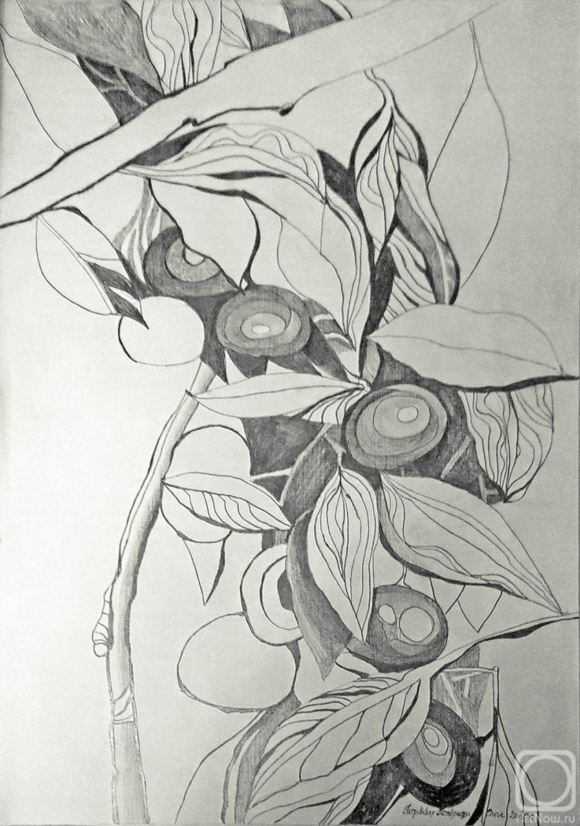 �������. ����������-���������� �����. ����������