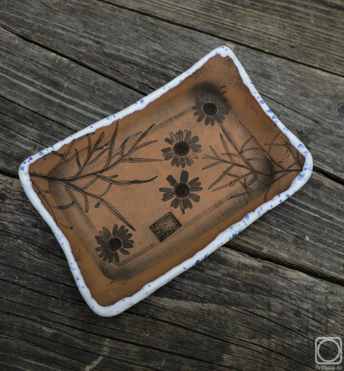 ���� ����. ������� � ���������