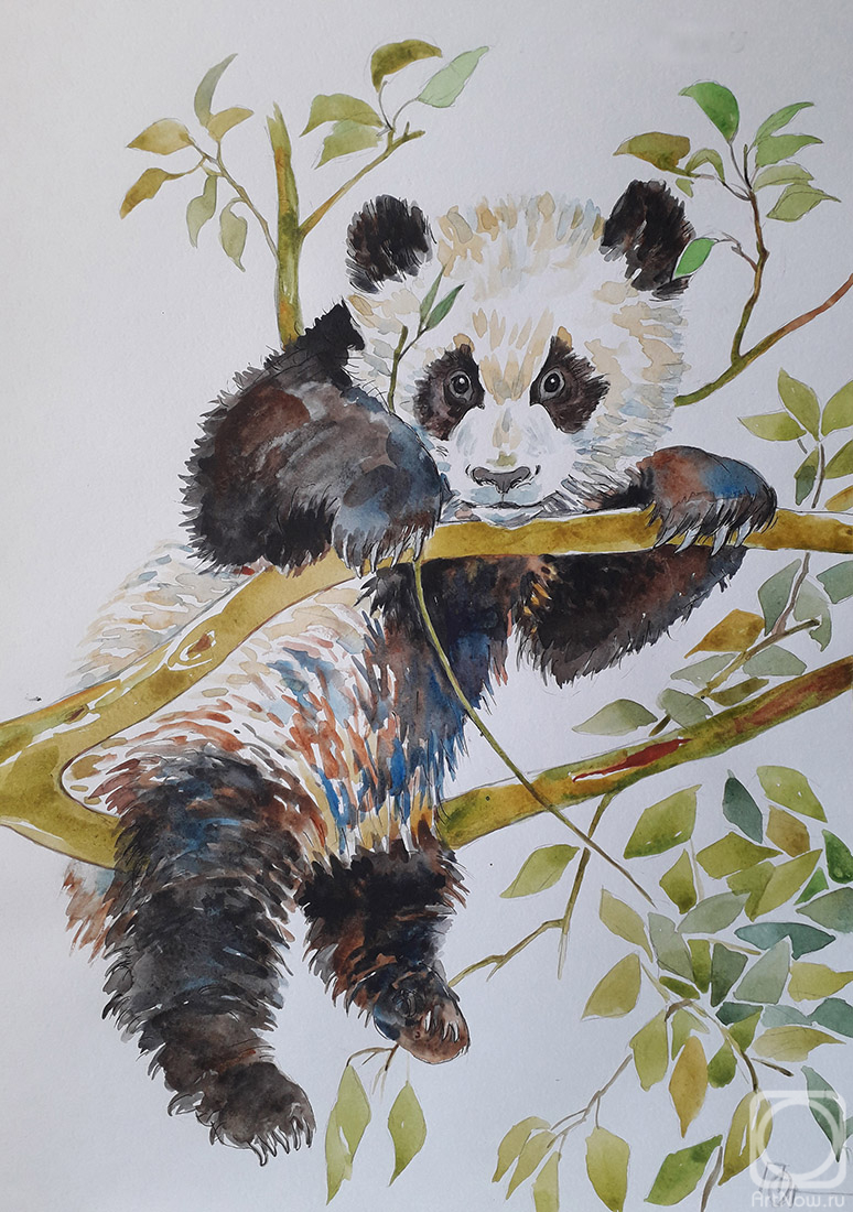 Pregnar Oleg. Panda on the branches