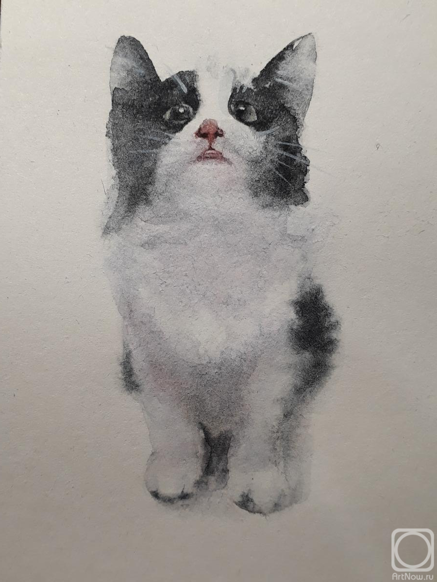 �������. �������� ������. ������������ �����-����� �����