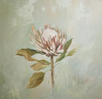 Protea. Gorbunova Oksana