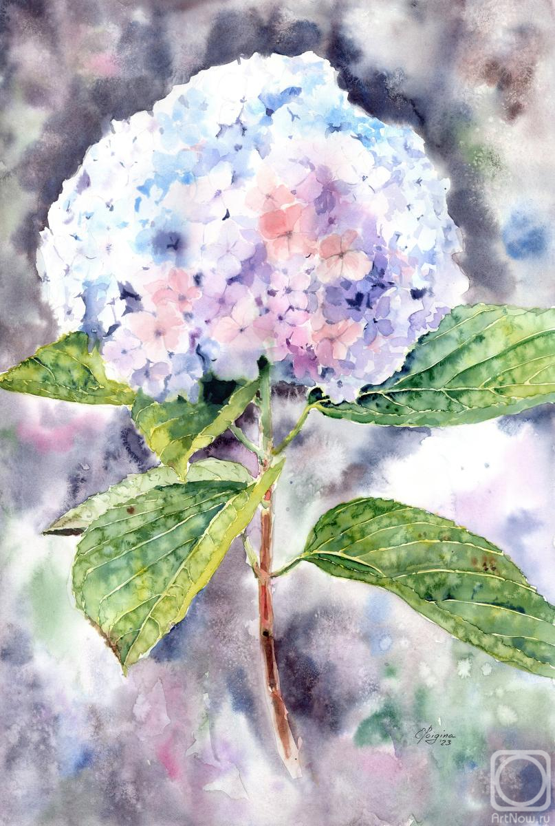 �������. ������� �����. �� ���������� ���������