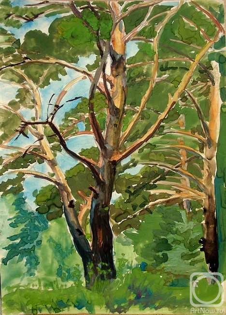 �������. ������ ������. ������