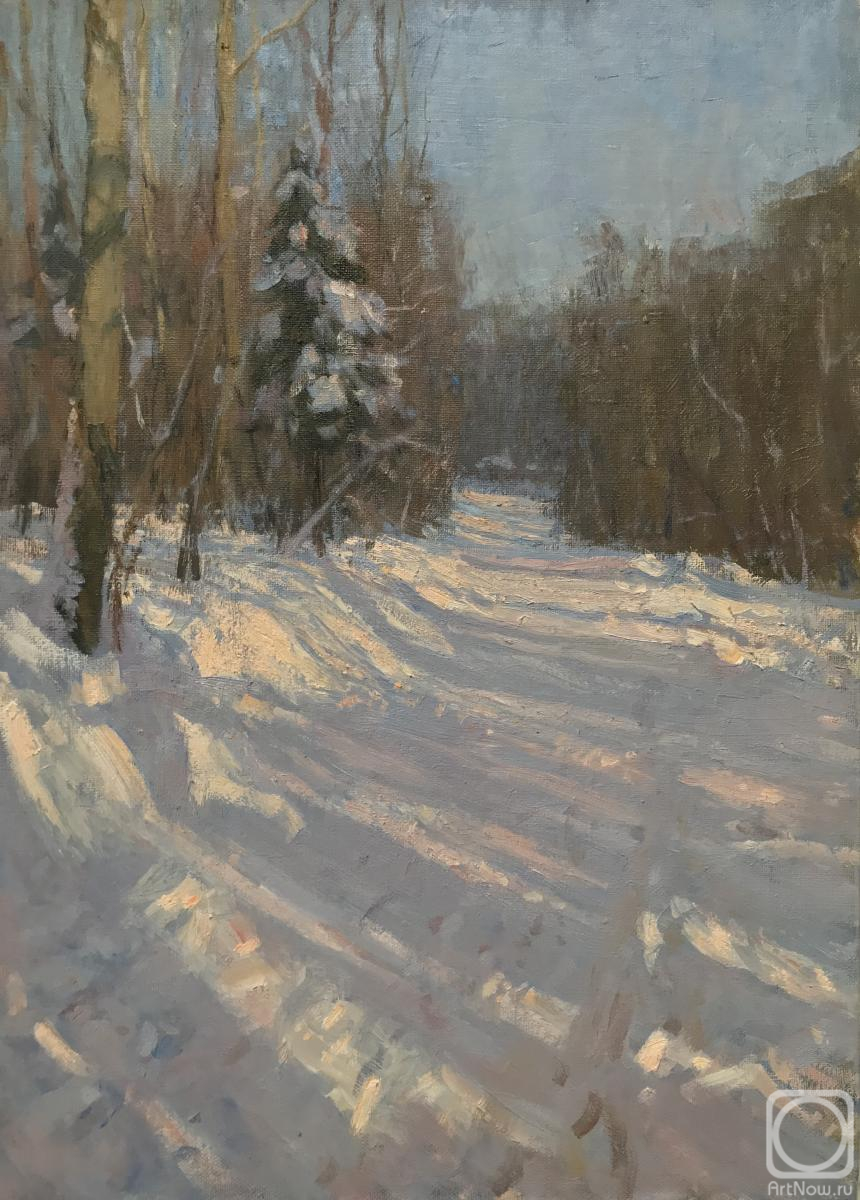 Hudyakov Vasiliy. Winter in the forest