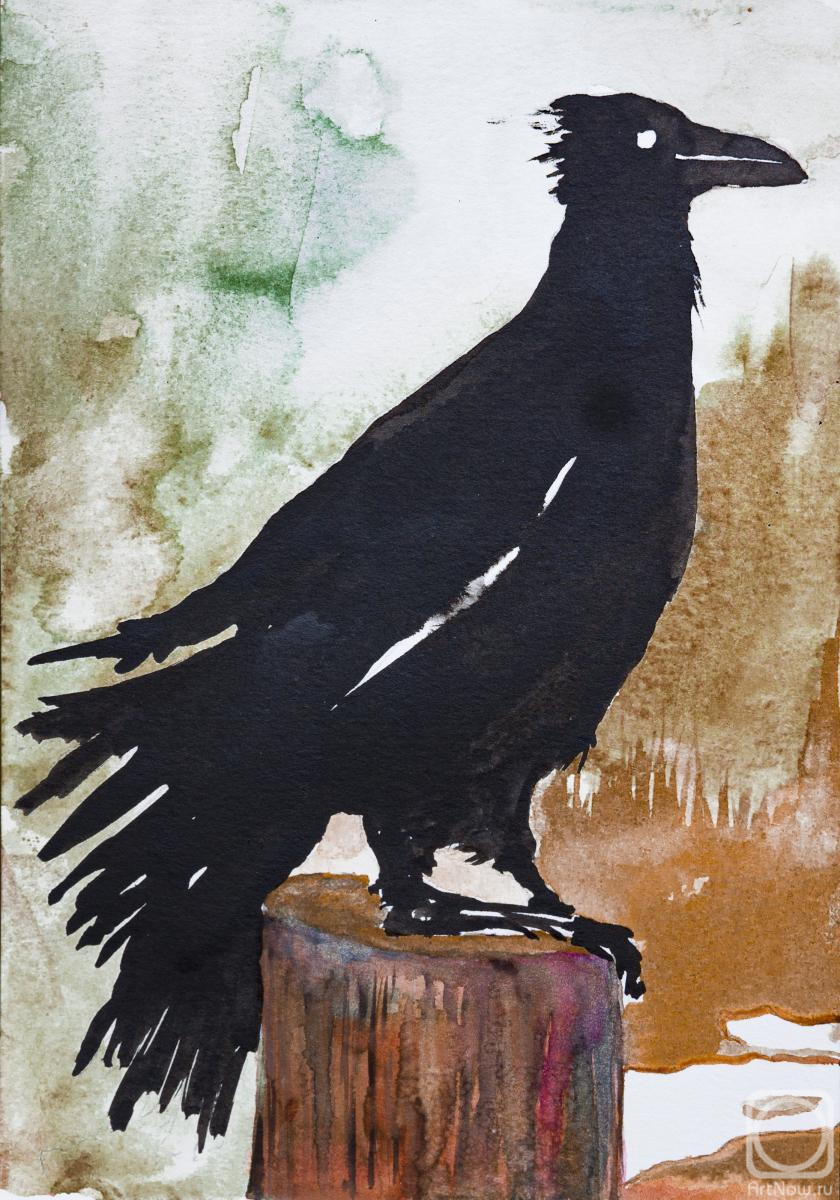 �������. ���� ����. �����