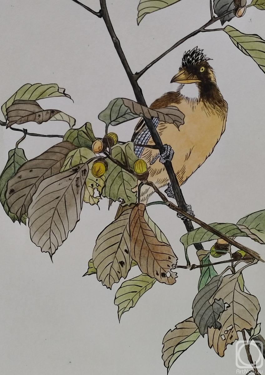 �������. ��������� �������. ����� � ��������