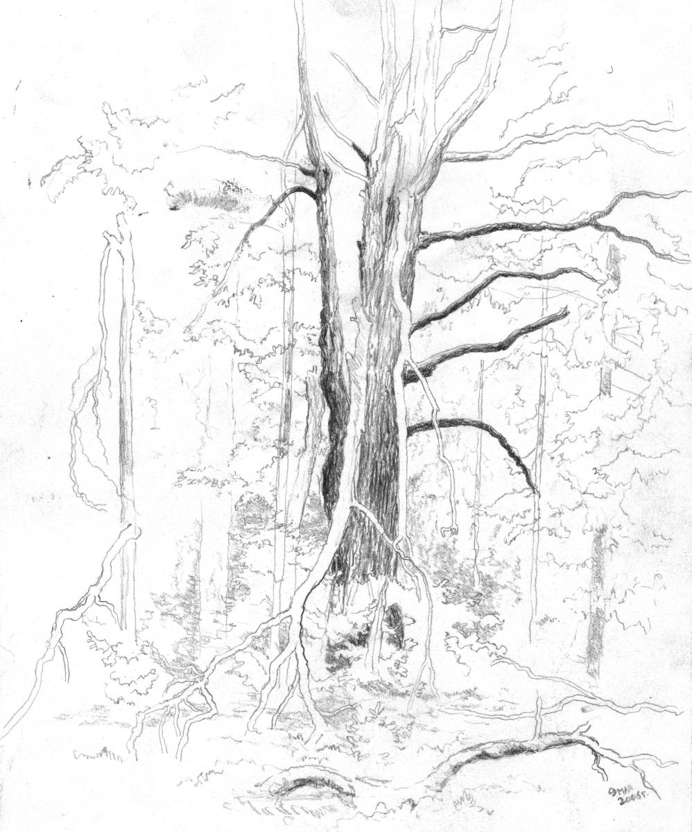 �������. ����� �����. ������ ���