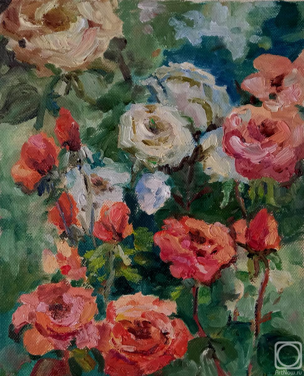 Gortseva Svetlana. Roses in garden