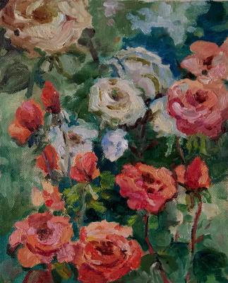 Roses in garden. Gortseva Svetlana