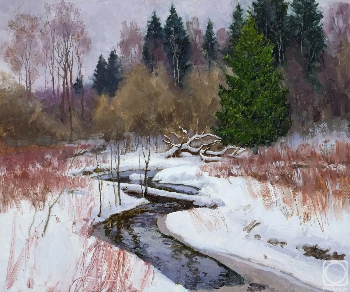 Panteleev Sergey. Forest stream