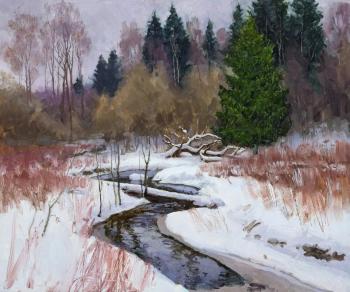 Forest stream. Panteleev Sergey
