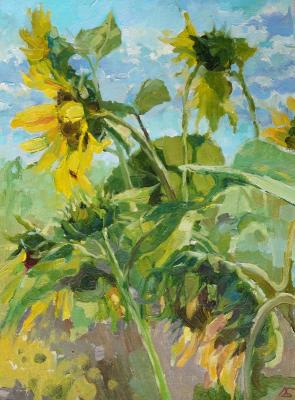 Sunflowers. Bulygina Lyudmila