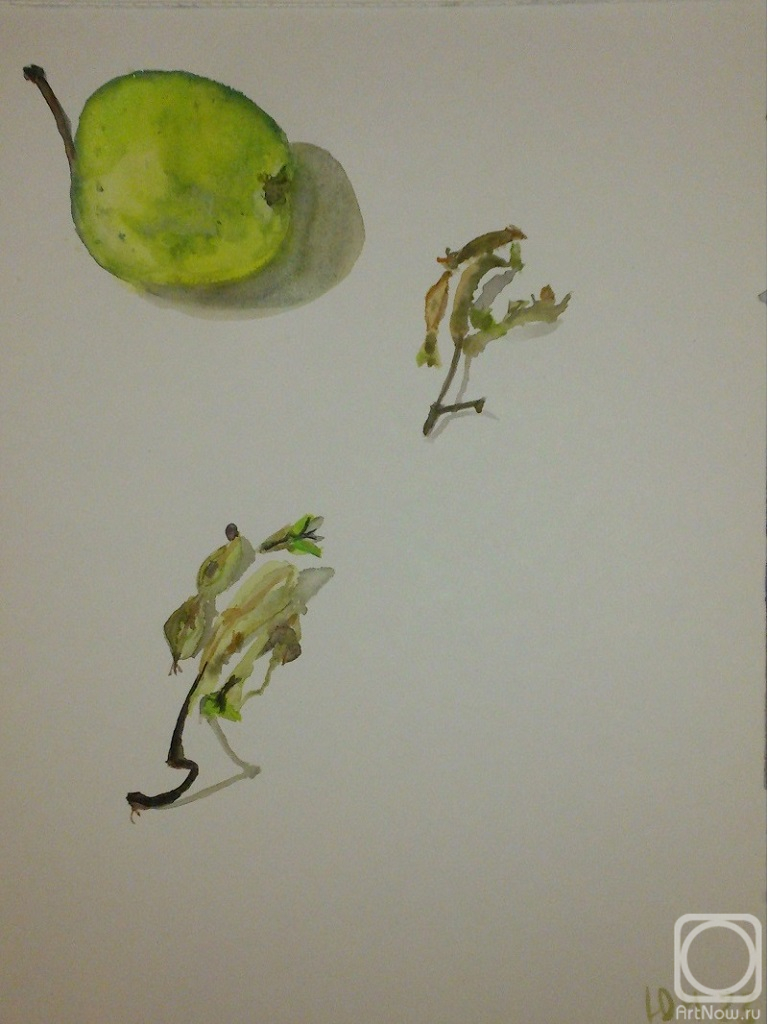 �������. ������ ����. ���������