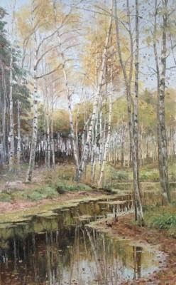 Stream in the autumn forest. Vasilev Denis