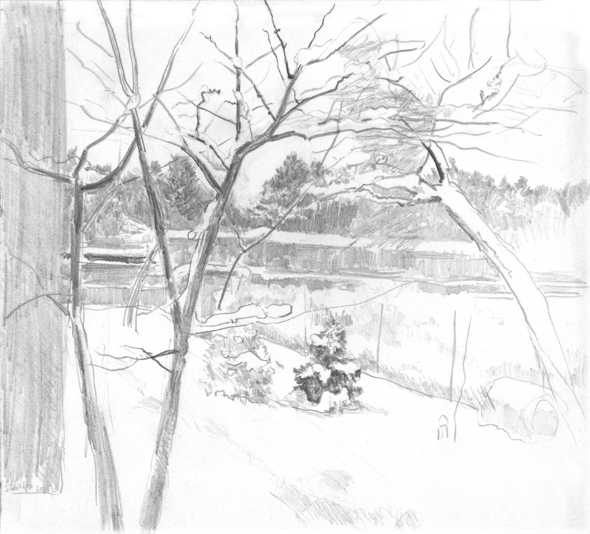 Зимний сад» картина Машина Игоря (бумага, карандаш) — заказать на ArtNow.ru