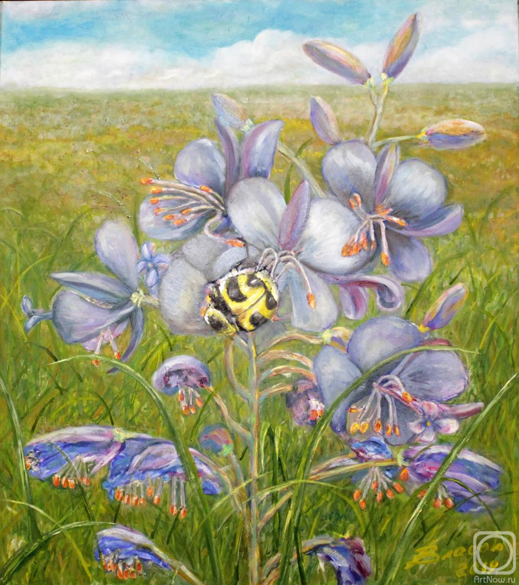 ������� ������ �� ������. ������ ��������. ����.������� ����!