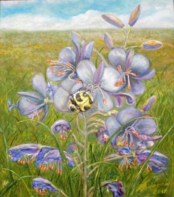 ������� �����.������� ����!�