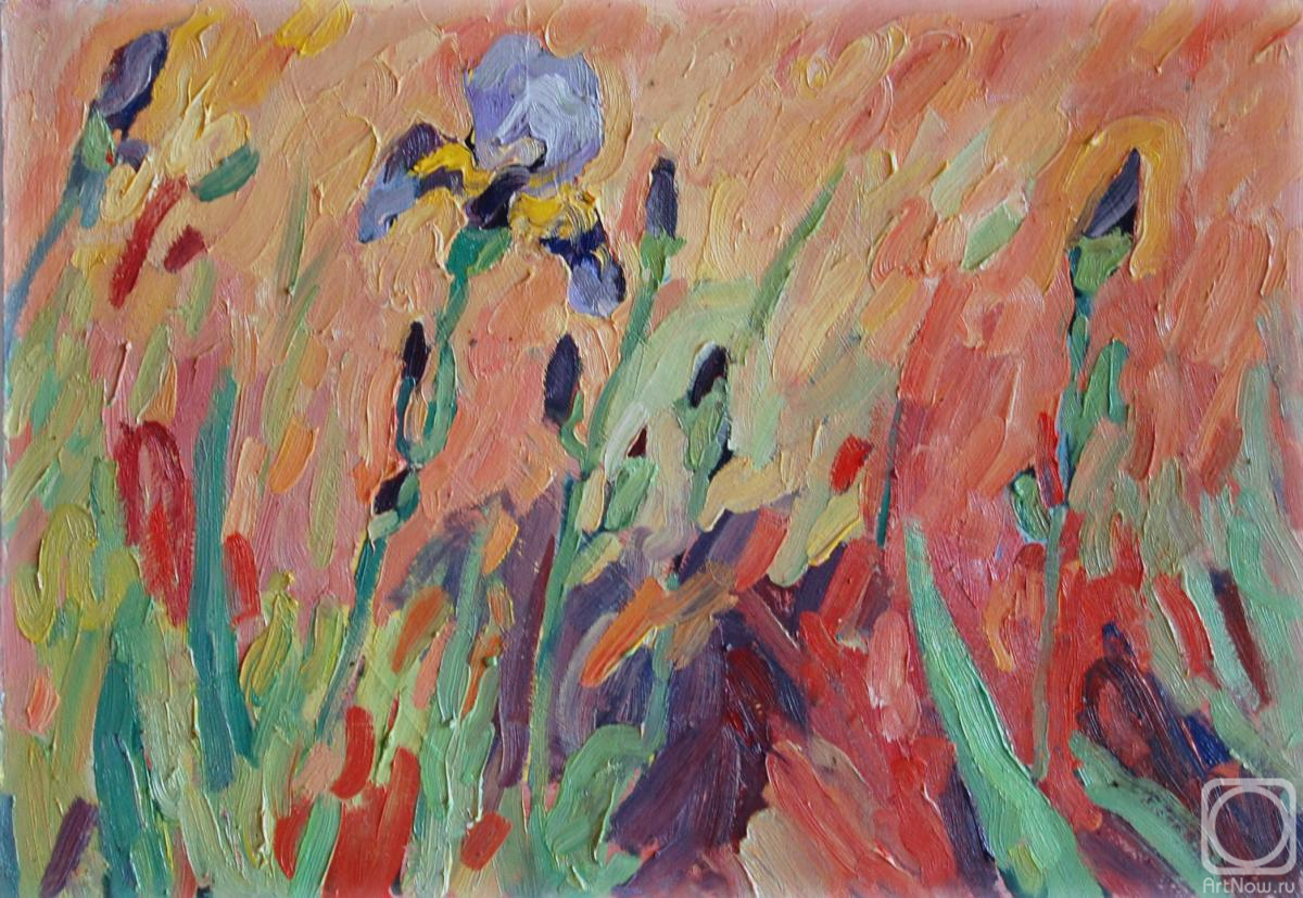 ������� ������ �� ������. ���������� ���������. �����