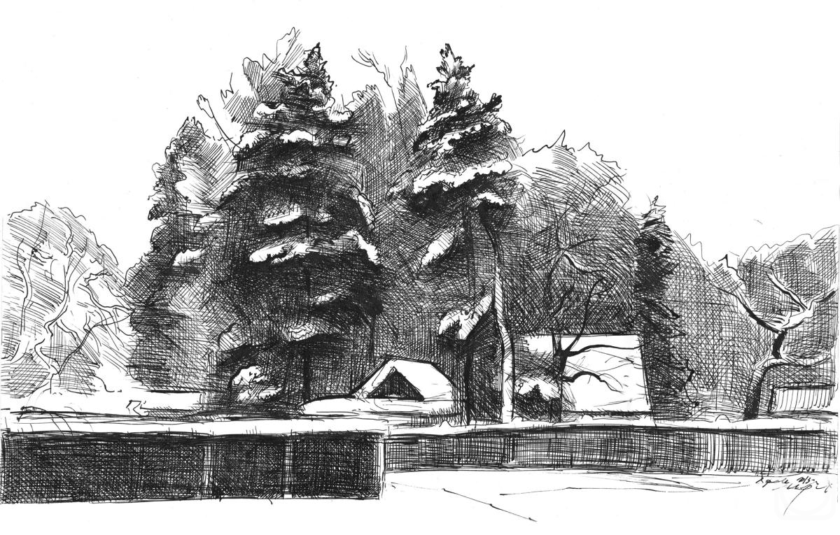 Mashin Igor. Pine trees under the snow