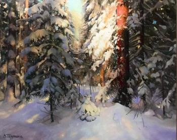 Winter plot. Trubanov Vitaly