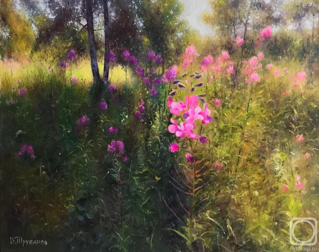 Trubanov Vitaly. July