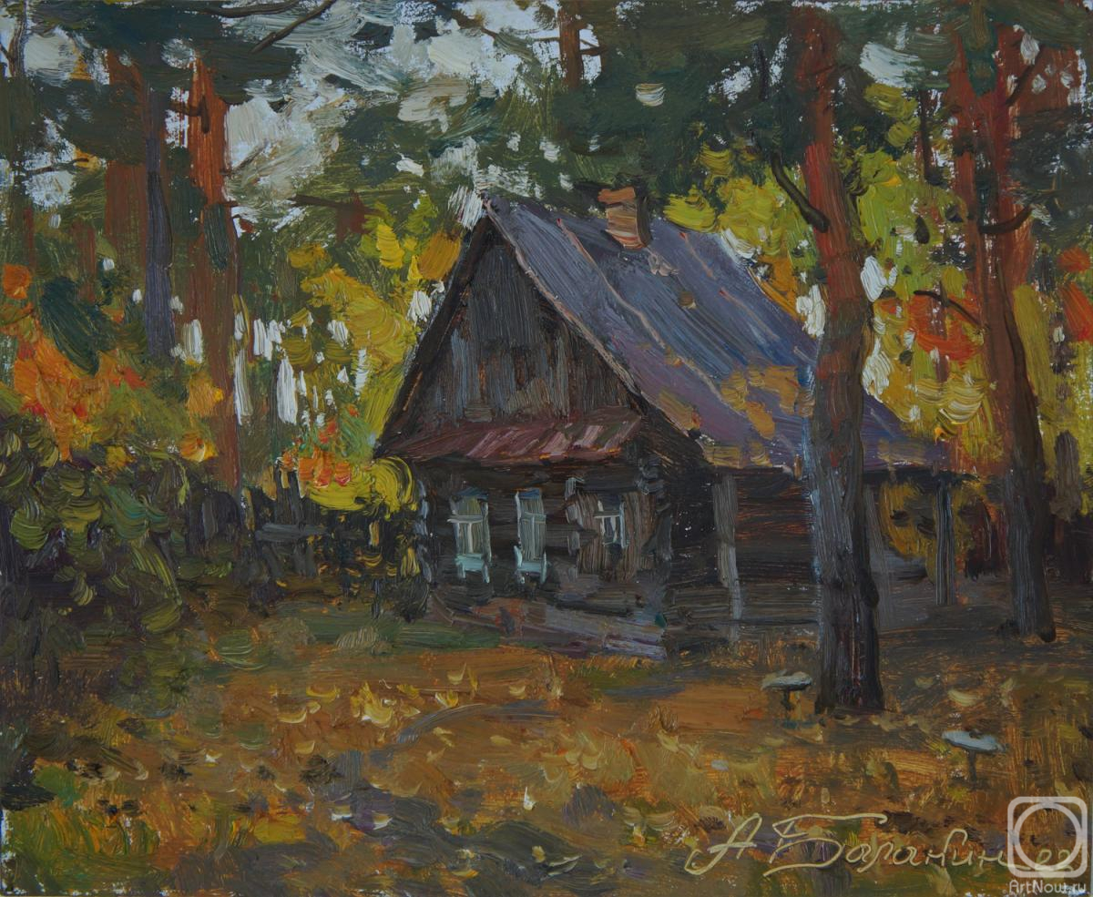 Balakin Artem. Baba Yaga 's hut