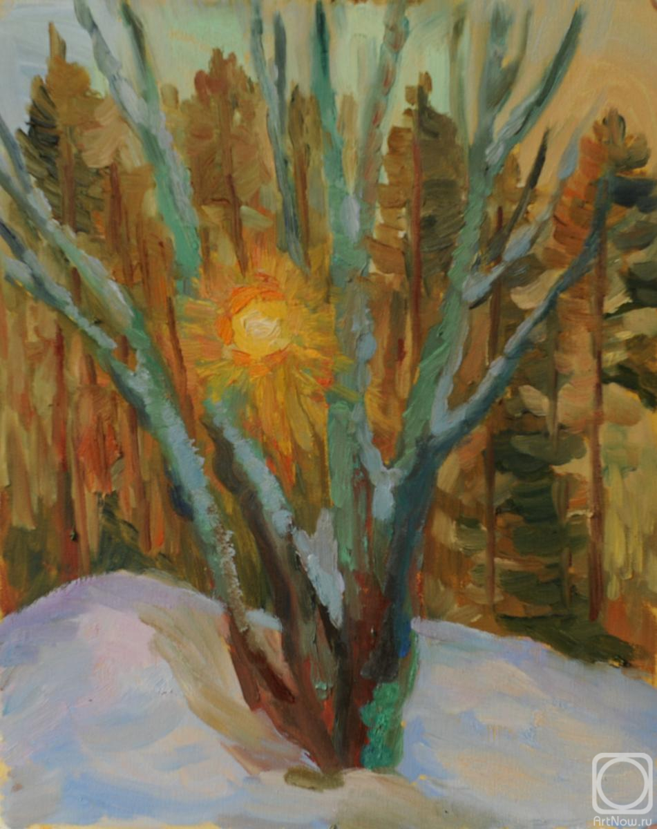 ������� ������ �� ������. ������� �������. ��������� ����