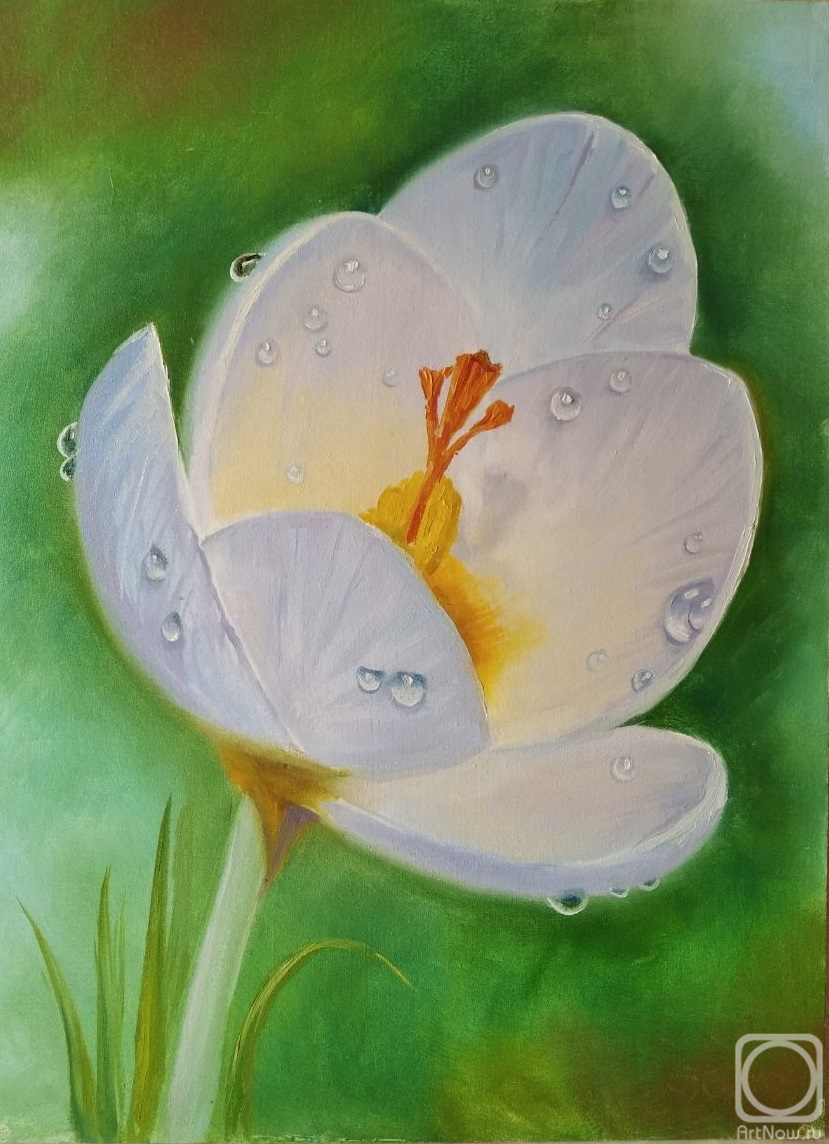 �������. ������� ��������. �����������