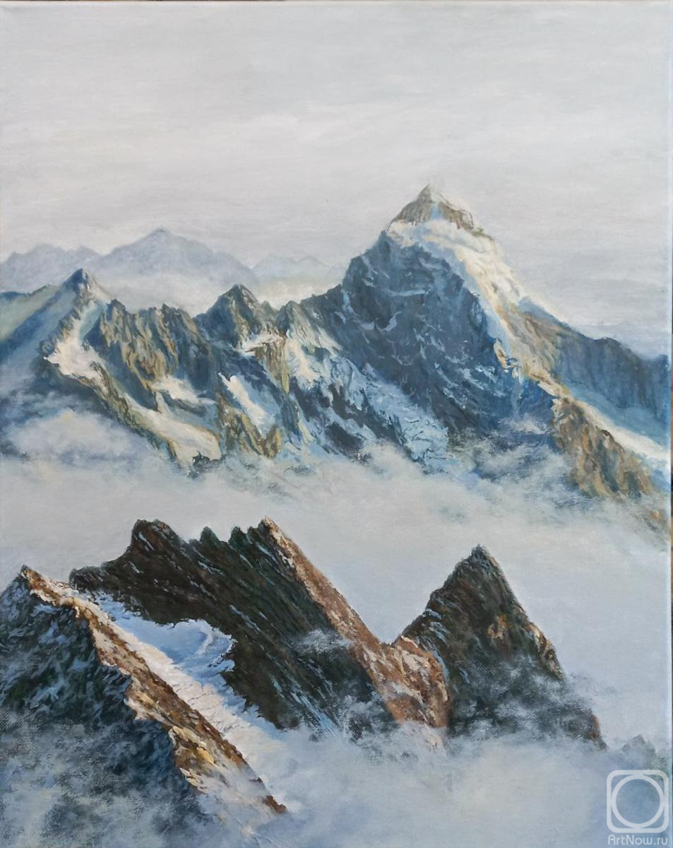 �������. �������� �����. ������ ������