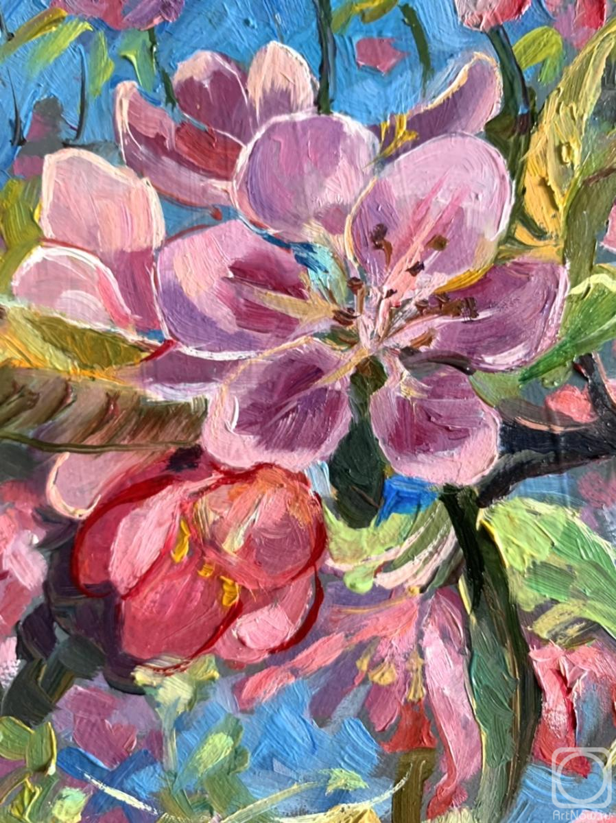 �������. ������-����� �����. �������� �����