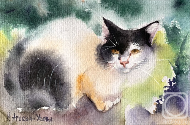 �������. ������-����� �����. ��������