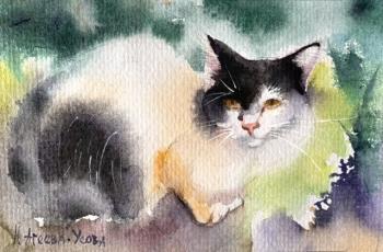 ������� ���������