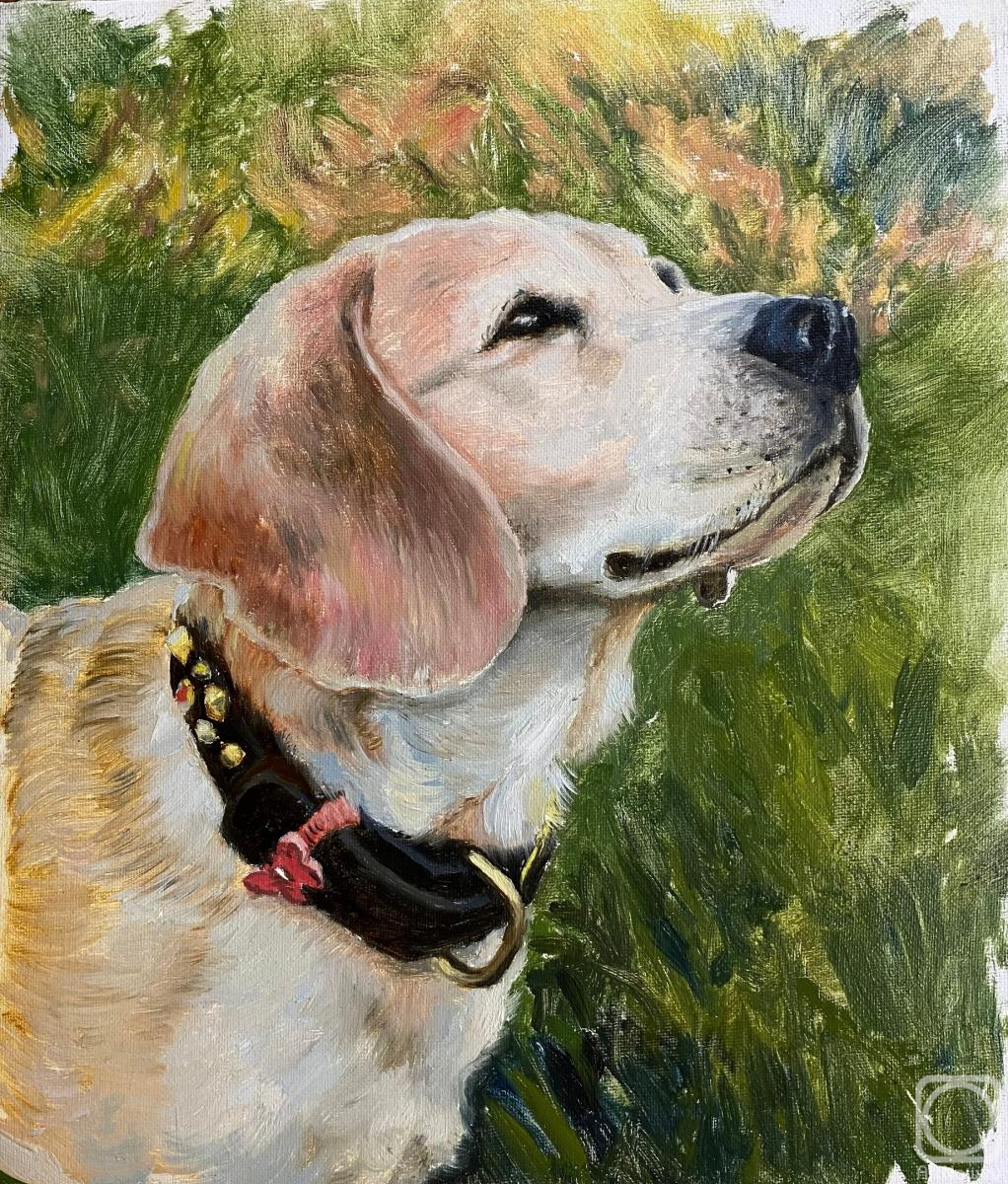 ������� ������ �� ������. ����������� ������. �����