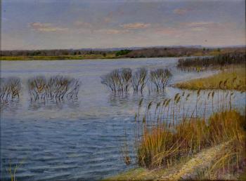 ������� ��� ������ ���������