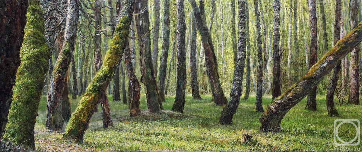 Kovalev Denis. Old forest