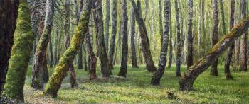 Old forest. Kovalev Denis