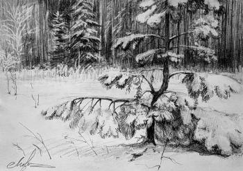 ������� �������� ����� ��� ������������� ������