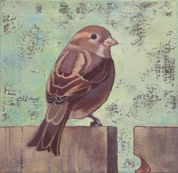 Sparrow. Brusyanina Nonna